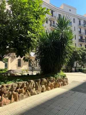 a row of plants in front of a building at Luminosa e accogliente casa Centro Storico in Rome