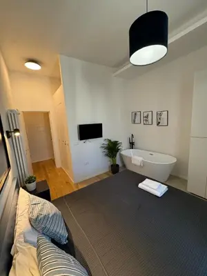 a room with a bed and a tub and a television at Giulio Cesare - Casa Palmeri in Rome