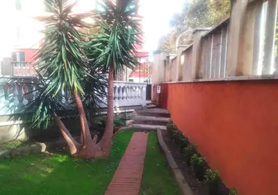 two palm trees in a yard next to a building at Casita in Rome