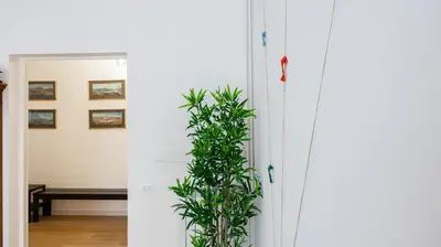 a plant in a hallway next to a door at Casa Maria Teresa by Rentbeat in Rome