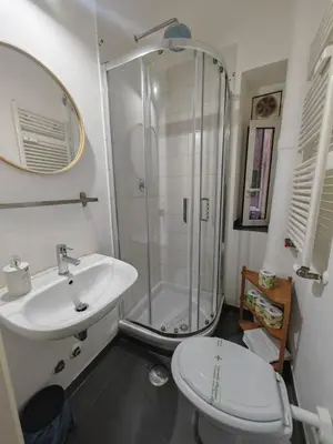 a bathroom with a shower and a toilet and a sink at Emilia's Dream Apartment in Rome
