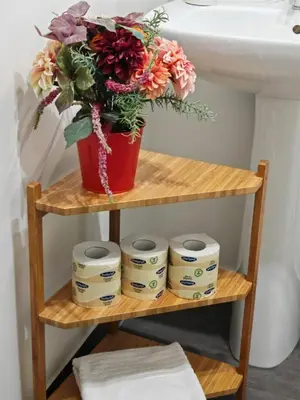 a plant in a pot on a shelf next to a sink at Emilia's Dream Apartment in Rome