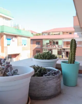 three potted plants sitting on top of a balcony at Elegant & Chic 2 Suites Apartment - 5min to Station, AC, Wi-Fi in Rome