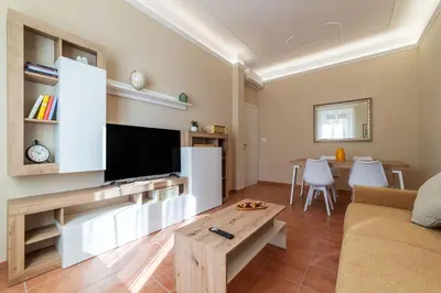 a living room with a couch and a tv at GuestHost - AppioLatino Apartment Roma in Rome