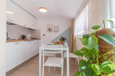 a white kitchen with a white table and a plant at Luxury Maison Dei Colli in Rome