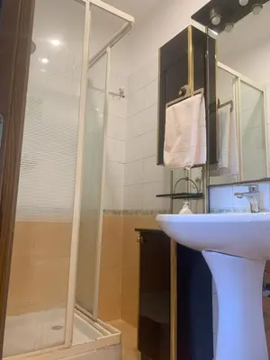 a bathroom with a sink and a shower at Milizie Vintage in Rome