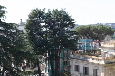 a tree in the middle of a city at Elegant Flat in Ponte Milvio in Rome