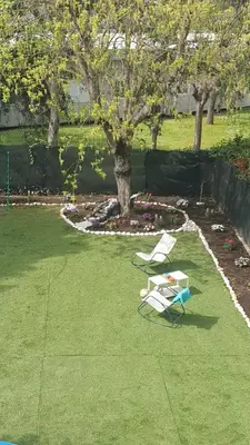 two lawn chairs and a tree in a yard at Villa Domus Roma in Rome