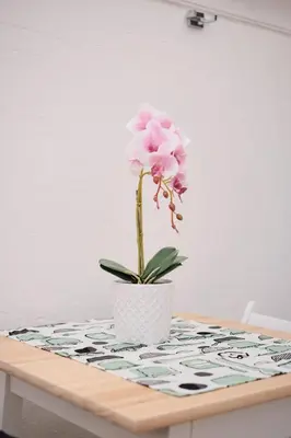 a pink flower in a white vase on a table at Casa Chicca Monti - Idromassaggio 900 m Colosseo in Rome