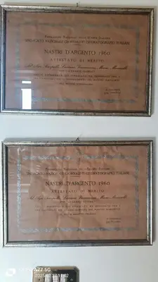 two certificates in a frame on a wall at Terrace of the Aureli in Rome