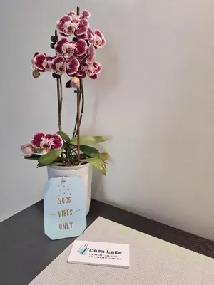 a vase filled with flowers on top of a table at Casa Laila in Rome