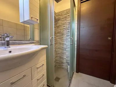 a bathroom with a sink and a shower with a mirror at Statilia 1 Apartment in Rome