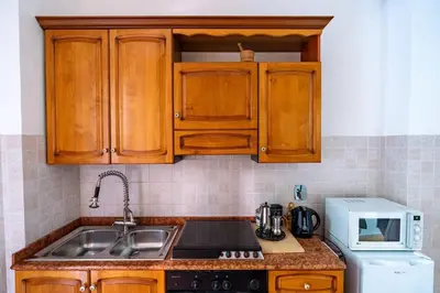 a kitchen with wooden cabinets and a sink and a microwave at Brunetta Cozy Apartment-Metro B in Rome