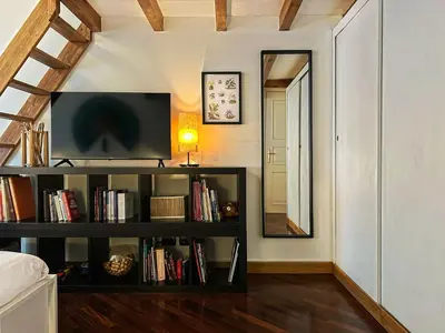a room with a tv and a book shelf with books at Domus Trevis in Rome
