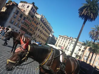 two horses are standing on a city street at Piazza di Spagna Suite de Charme in Rome