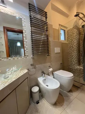 a bathroom with a toilet and a sink and a toilet at Charm Apartment & Relax Jacuzzi Roma-Gemelli in Rome