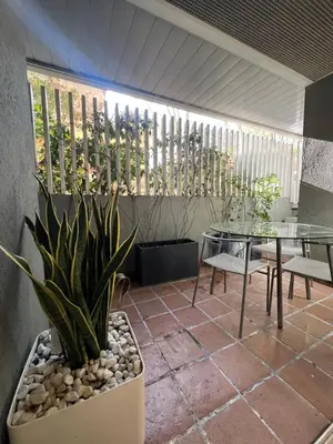 a patio with a table and chairs and a potted plant at Giulio Cesare APT in Rome