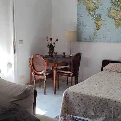 corte degli ulivi in roma