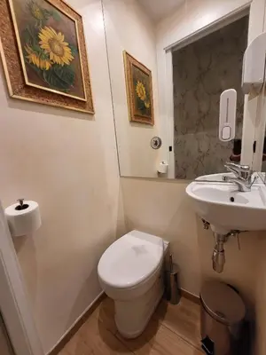 a bathroom with a toilet and a sink at Venus Inn Vatican Guest House in Rome