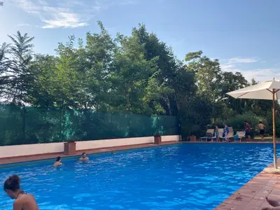 a group of people swimming in a swimming pool at Terracito! in Rome