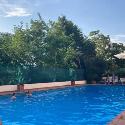 Terracito!