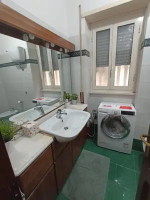 a bathroom with a sink and a washing machine at Asia Guest House in Rome
