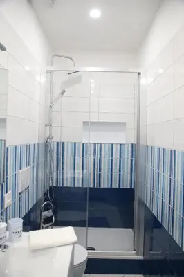 a bathroom with a shower and a toilet and a sink at Emma and Livia's Vatican Suite 1 in Rome