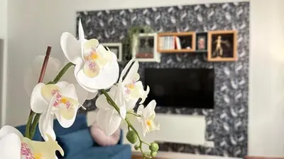 a vase with white flowers in a living room at La bella vita Navona in Rome