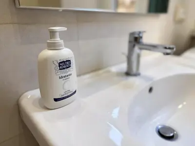 a bottle of soap sitting on a bathroom sink at Valerias Nest Elegant Apt with WiFi and Charm in Rome