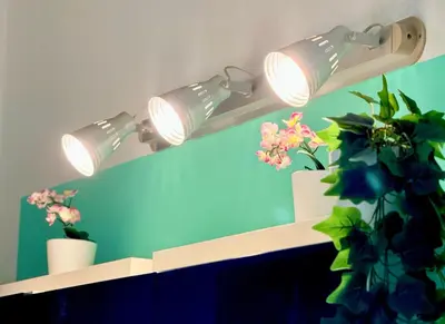 a couple of lights on a shelf with flowers at Turati maison d'hotes in Rome