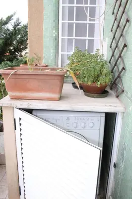 two potted plants sitting on top of a dishwasher at Interno 10 in Rome