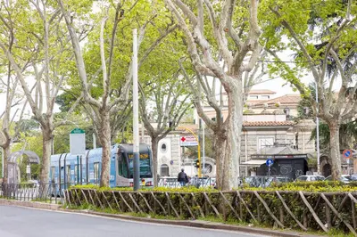 a bus is parked on a street next to trees at Amazing Monteverde in Rome