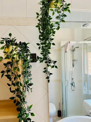 a bathroom with a plant growing up the wall at Trastevere vibes in Rome