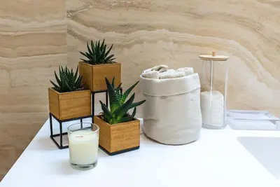 a table with potted plants and a glass of milk at Baglivi 8 - Sapienza - Metro B in Rome