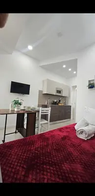 a living room with a kitchen and a red rug at 753 Roma in Rome