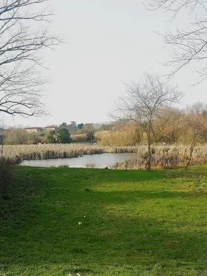 a pond in a field next to a grass field at CaSa e Caffarella in Rome