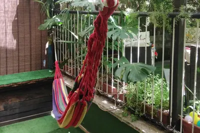 a hammock hanging from a balcony with plants at Fine Art House in Rome