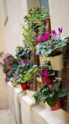 a row of potted plants hanging on a wall at Domus Oro nel cuore di Roma in Rome