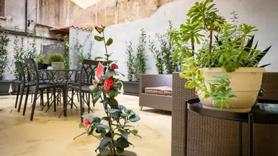 a room with a bunch of potted plants on a table at Domus Pietra nel cuore di Roma in Rome