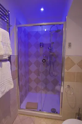 a shower in a bathroom with a purple ceiling at B&B La Perla di Roma in Rome