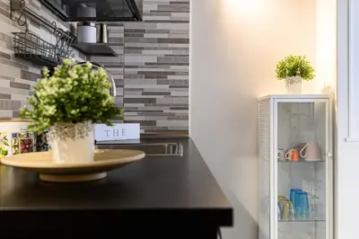 a kitchen with a counter with two potted plants at Sanniti Luigi Cozy Home in Rome