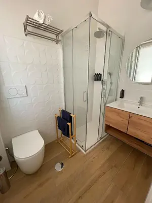 a bathroom with a shower and a toilet and a sink at Parthenope Vatican House in Rome