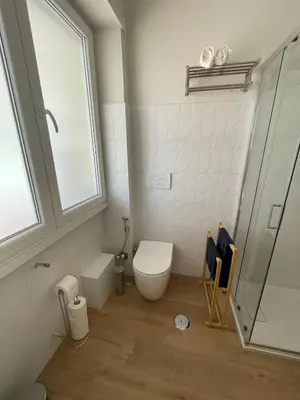 a bathroom with a toilet and a shower at Parthenope Vatican House in Rome