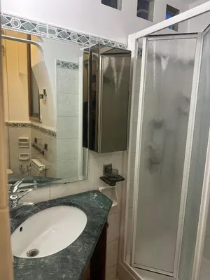 a bathroom with a sink and a shower at Borgo Pio Vatican in Rome