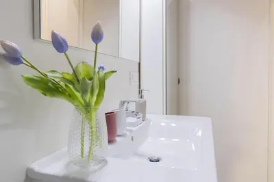 a vase of purple flowers sitting on a bathroom sink at Trilussa Spacious Apartment in Rome