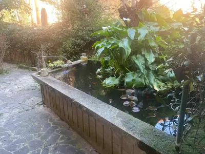 a pond with a bunch of plants in a garden at Villetta Garbata in Rome