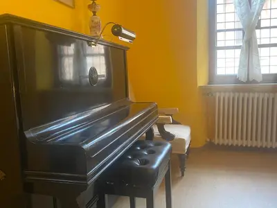 a black piano sitting in a room with a stool at Villetta Garbata in Rome