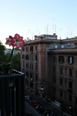a pink flower in a vase on a window sill at Testaccio Room in Rome in Rome