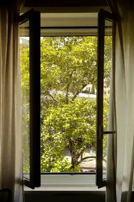 an open window with a view of a tree at Flowers Rooms - Ponte Milvio in Rome