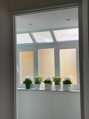 a window with potted plants sitting on a shelf at carpe diem sistina in Rome